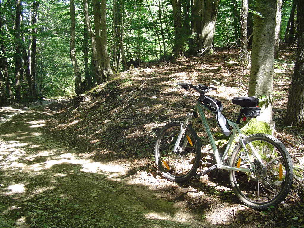 Prova della TREK a villa Pamphili